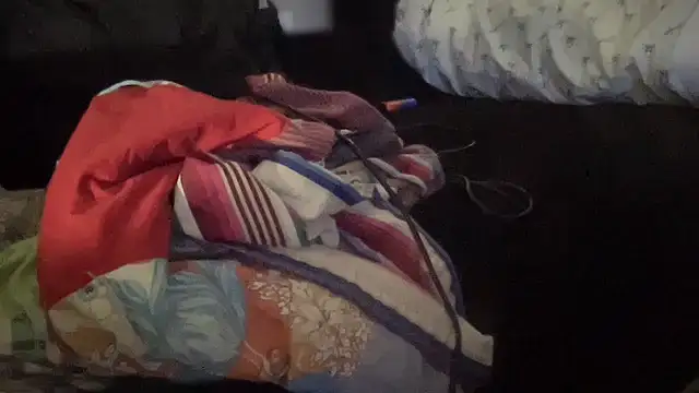THEFOXESDEN3