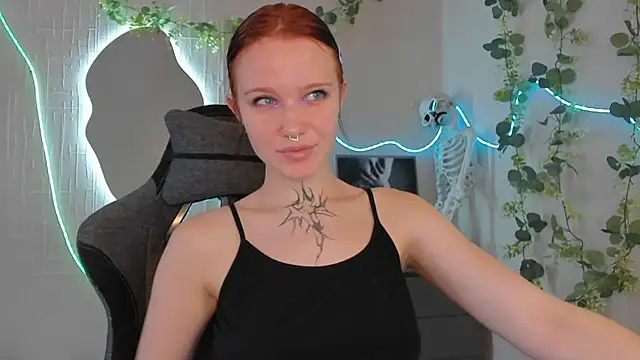 Elastikisss webcam