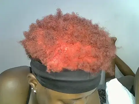 Queennmodell