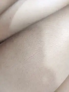 FansBRISA