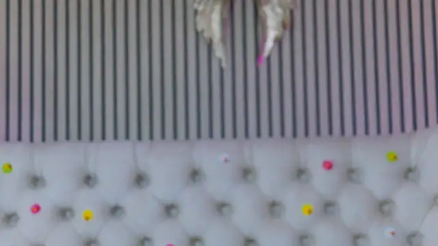 PlayfulShow