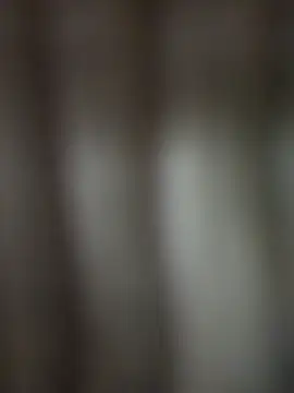 your_dream4