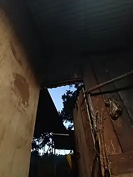 Jinli_01