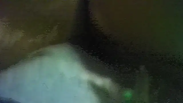 Bunnyxx01
