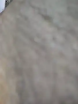 Idontmind367 live cam on StripChat