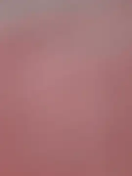 Anastacia_lasexy