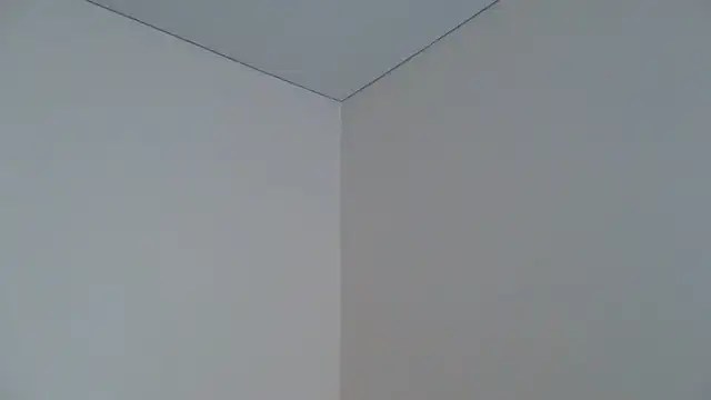 _angeeel webcam