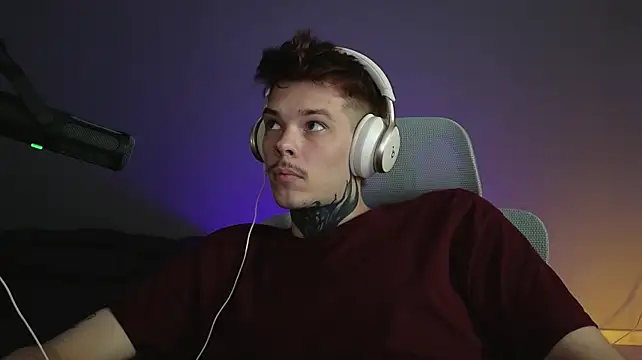 DENIS_HERE webcam