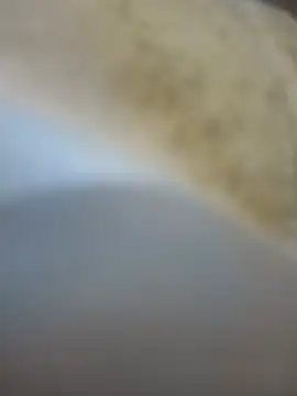 Nasipussy