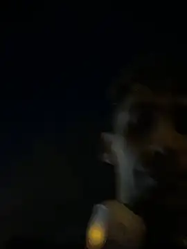 Arkadeita webcam