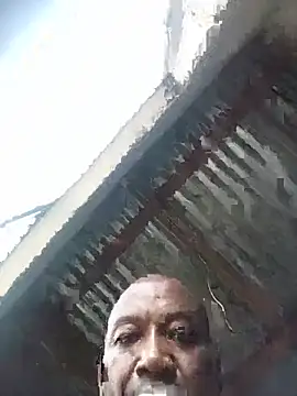 WiseDi