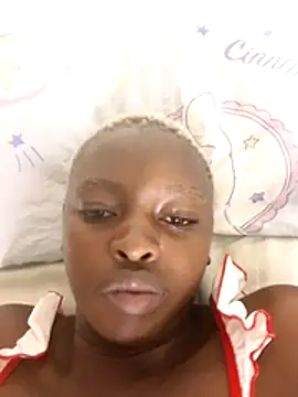 Mobisa
