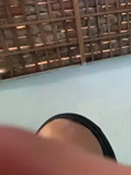 MiaCachorrinha