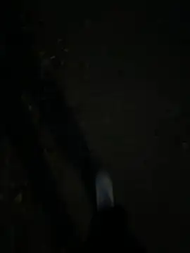 F0X89 live sex cam