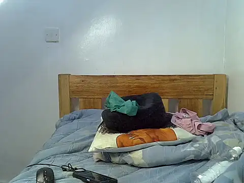 Holyshan webcam