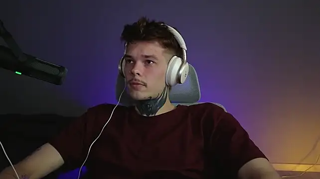 DENIS_HERE webcam