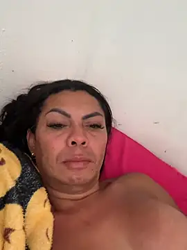 Bellatrans__