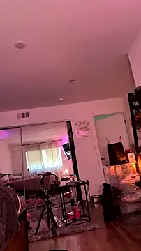 allpawgsgotoheaven