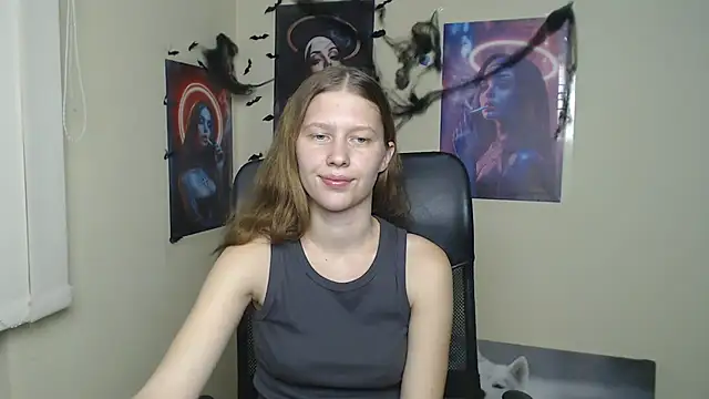 StellaCRL webcam