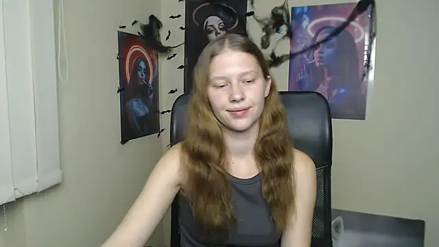 StellaCRL webcam