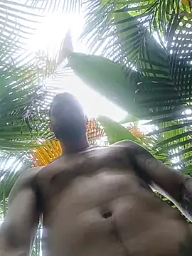Dracoandr live cam on StripChat