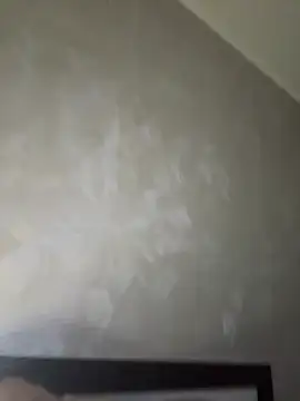 SunnyLeila2101