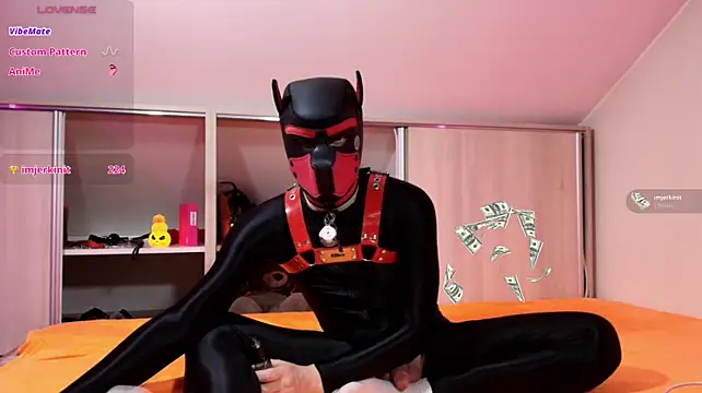 alex_the_goodboy