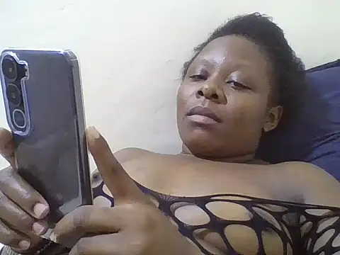 Swt_pie