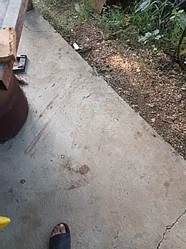 bradboy_Pigpisscum