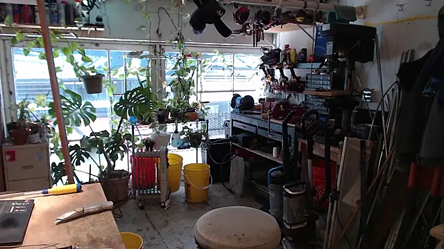 seattlemanwhore live sex cam