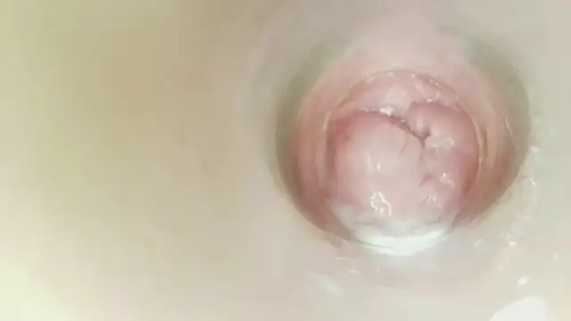 karol_stom webcam