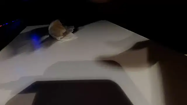 Jackdaniels6i
