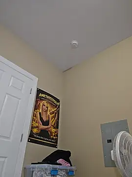AmethystFoxx