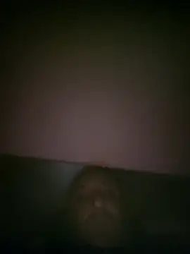Davidsex66666