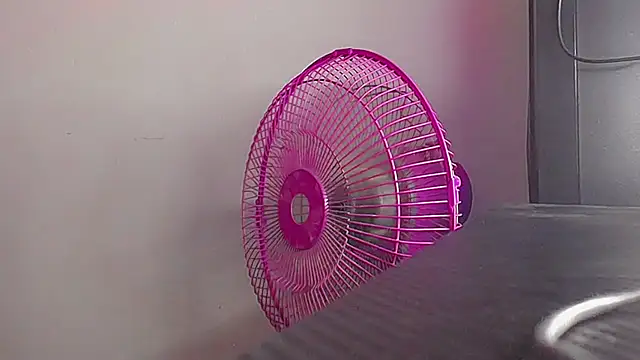 la_flaca20
