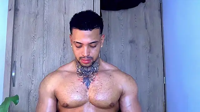 Stiven_collins