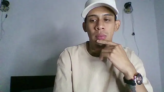 Ryan_Skyline_ webcam