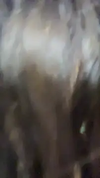 sexyaninha18