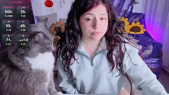 sofix__