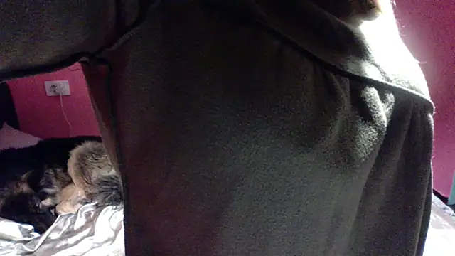 AnyBase