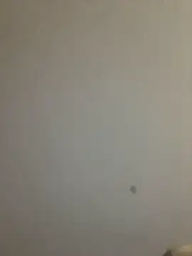 Lara_petit