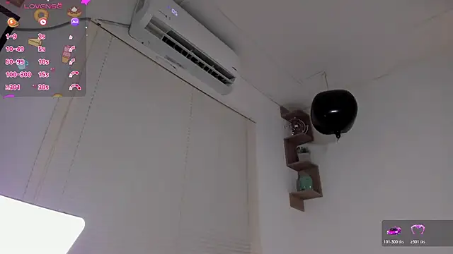 Lilian_vergaraa