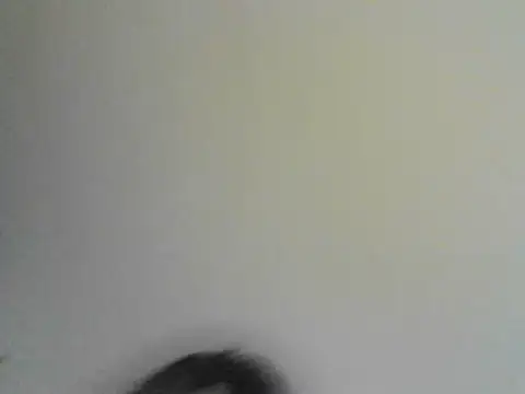 perritosexi6