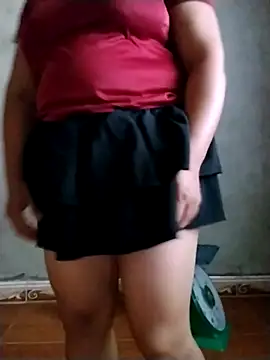 Salaakis