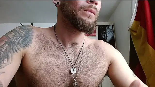 DominanThewolff