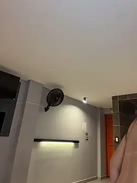 zui_lu webcam