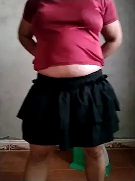Salaakis