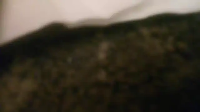 Shemalefucker79