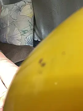 meiiijr55