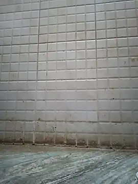 MeeraCouple